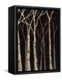 Midnight Birches II-Jade Reynolds-Framed Stretched Canvas