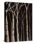 Midnight Birches II-Jade Reynolds-Stretched Canvas