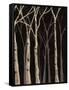 Midnight Birches II-Jade Reynolds-Framed Stretched Canvas