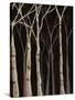 Midnight Birches II-Jade Reynolds-Stretched Canvas