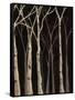 Midnight Birches II-Jade Reynolds-Framed Stretched Canvas