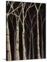 Midnight Birches II-Jade Reynolds-Stretched Canvas