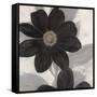 Midnight Bloom-Ivo (Lipman)-Framed Stretched Canvas