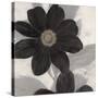 Midnight Bloom-Ivo (Lipman)-Stretched Canvas