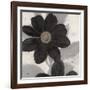 Midnight Bloom-Ivo (Lipman)-Framed Art Print