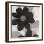 Midnight Bloom-Ivo (Lipman)-Framed Art Print