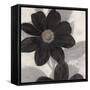 Midnight Bloom-Ivo (Lipman)-Framed Stretched Canvas