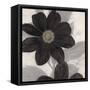 Midnight Bloom-Ivo (Lipman)-Framed Stretched Canvas