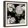 Midnight Blooms-Alan Lambert-Framed Giclee Print