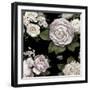 Midnight Blooms-Alan Lambert-Framed Giclee Print