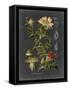 Midnight Botanical I-Vision Studio-Framed Stretched Canvas