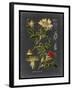 Midnight Botanical I-Vision Studio-Framed Art Print