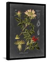 Midnight Botanical I-Vision Studio-Framed Stretched Canvas