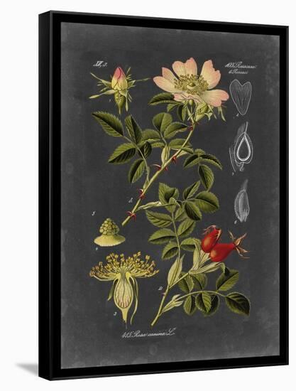 Midnight Botanical I-Vision Studio-Framed Stretched Canvas