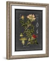 Midnight Botanical I-Vision Studio-Framed Art Print