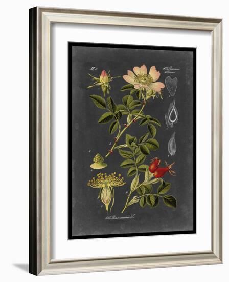 Midnight Botanical I-Vision Studio-Framed Art Print