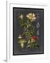 Midnight Botanical I-Vision Studio-Framed Art Print