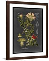 Midnight Botanical I-Vision Studio-Framed Art Print