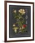 Midnight Botanical I-Vision Studio-Framed Art Print