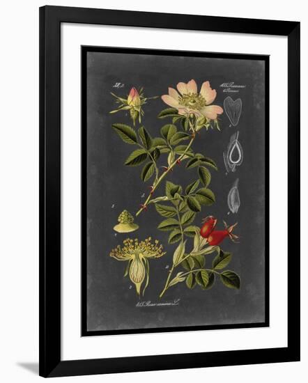 Midnight Botanical I-Vision Studio-Framed Art Print