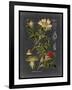 Midnight Botanical I-Vision Studio-Framed Art Print