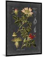 Midnight Botanical I-Vision Studio-Mounted Art Print