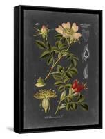 Midnight Botanical I-Vision Studio-Framed Stretched Canvas