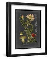 Midnight Botanical I-Vision Studio-Framed Art Print