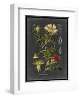 Midnight Botanical I-Vision Studio-Framed Art Print