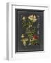 Midnight Botanical I-Vision Studio-Framed Art Print