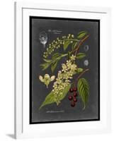 Midnight Botanical II-Vision Studio-Framed Art Print