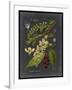 Midnight Botanical II-Vision Studio-Framed Art Print