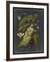 Midnight Botanical II-Vision Studio-Framed Art Print