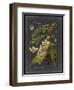 Midnight Botanical II-Vision Studio-Framed Art Print