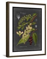 Midnight Botanical II-Vision Studio-Framed Art Print