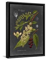 Midnight Botanical II-Vision Studio-Framed Art Print