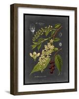 Midnight Botanical II-Vision Studio-Framed Art Print