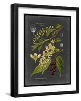 Midnight Botanical II-Vision Studio-Framed Art Print