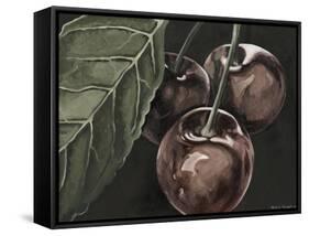 Midnight Cherries-Megan Meagher-Framed Stretched Canvas