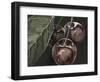 Midnight Cherries-Megan Meagher-Framed Art Print