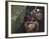 Midnight Cherries-Megan Meagher-Framed Art Print