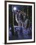 Midnight Clear-R.W. Hedge-Framed Giclee Print