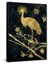 Midnight Crowned Crane-Filippo Ioco-Framed Stretched Canvas