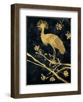 Midnight Crowned Crane-Filippo Ioco-Framed Art Print