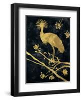 Midnight Crowned Crane-Filippo Ioco-Framed Art Print