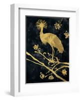 Midnight Crowned Crane-Filippo Ioco-Framed Art Print