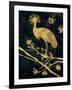 Midnight Crowned Crane-Filippo Ioco-Framed Art Print