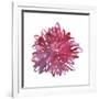 Midnight Dancer-Kiana Mosley-Framed Giclee Print