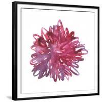 Midnight Dancer-Kiana Mosley-Framed Giclee Print