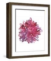 Midnight Dancer-Kiana Mosley-Framed Art Print